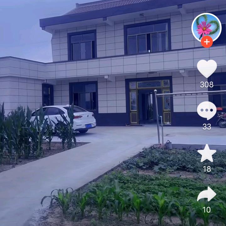 柿柿如意