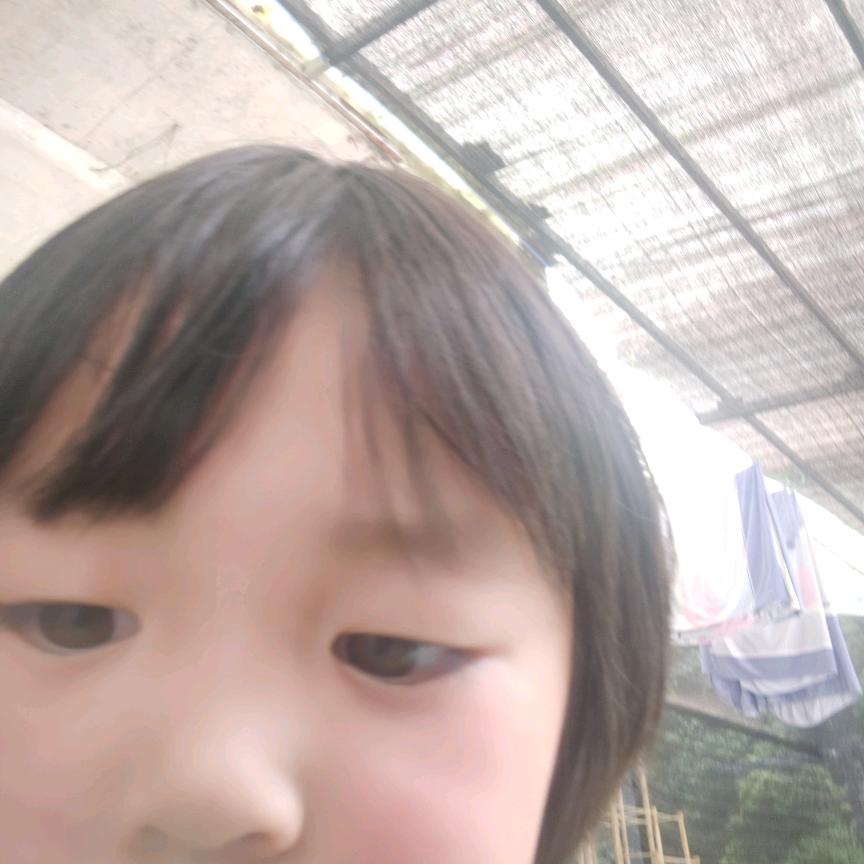 单身的我