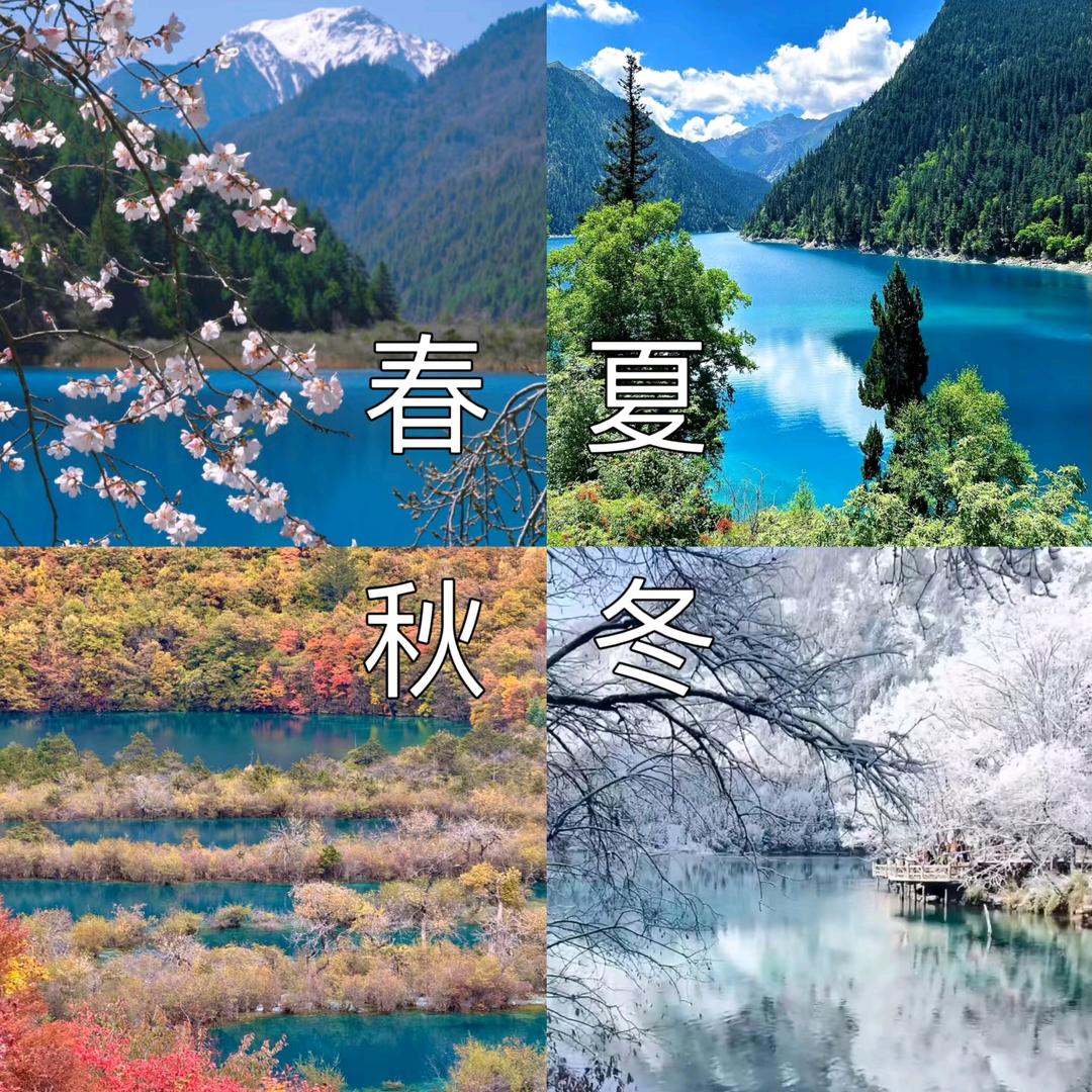 九寨沟～游玩(四川旅行✈️)