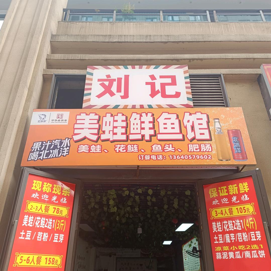 美蛙鱼