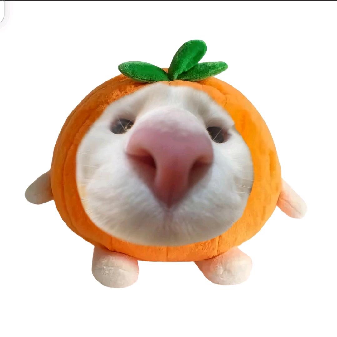 青衍
