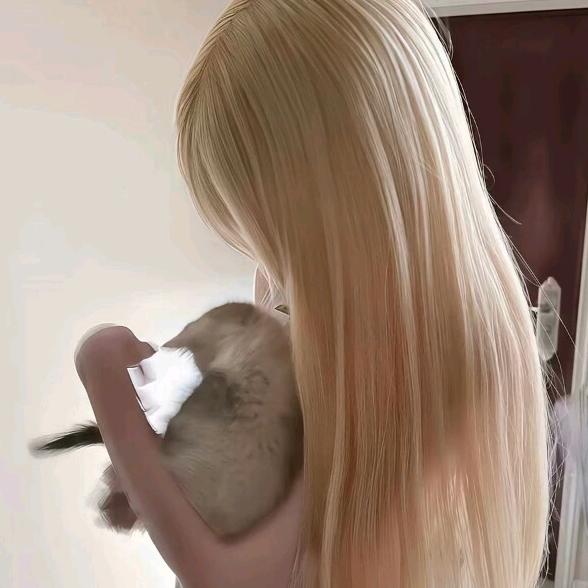 涛七