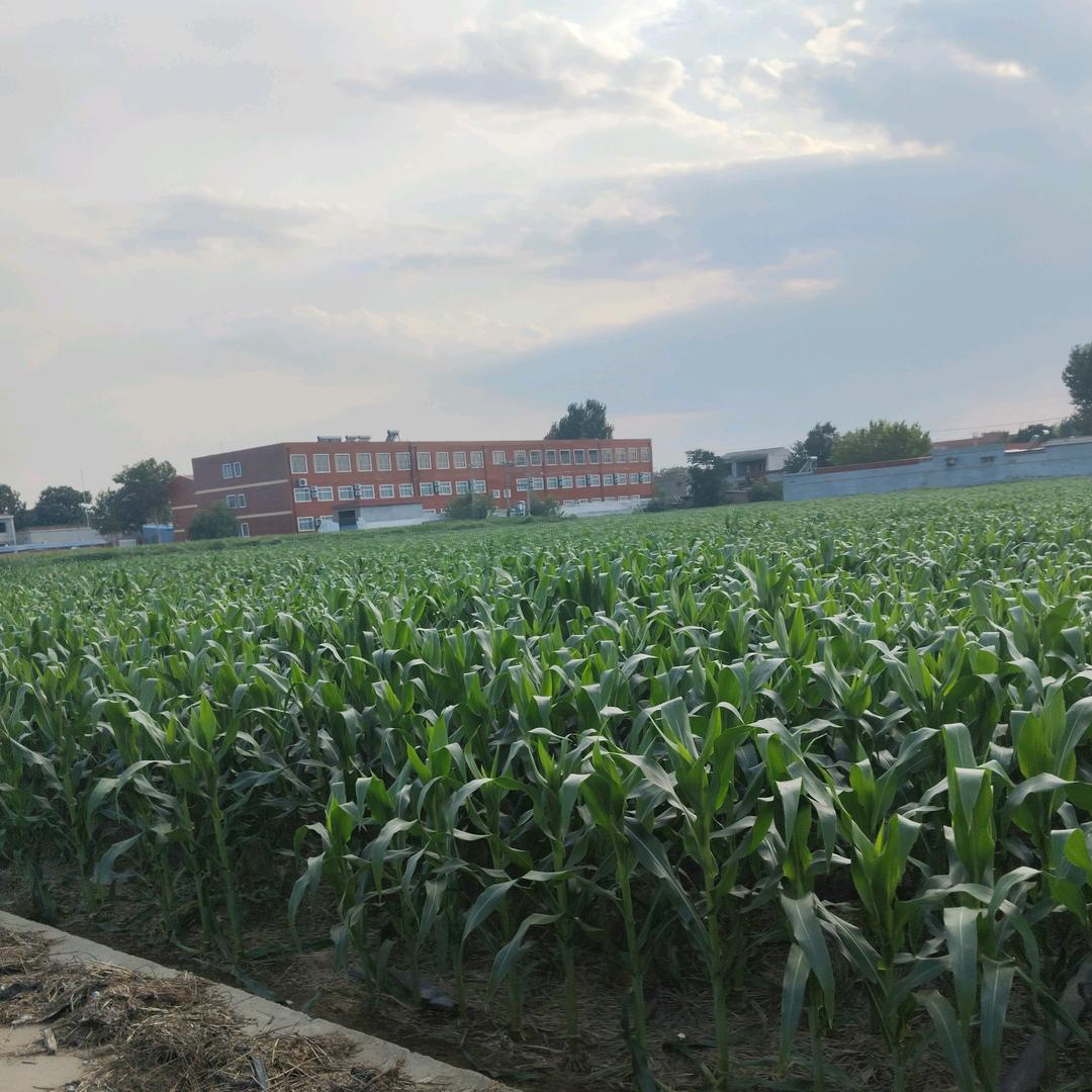 哥不是当年的风范