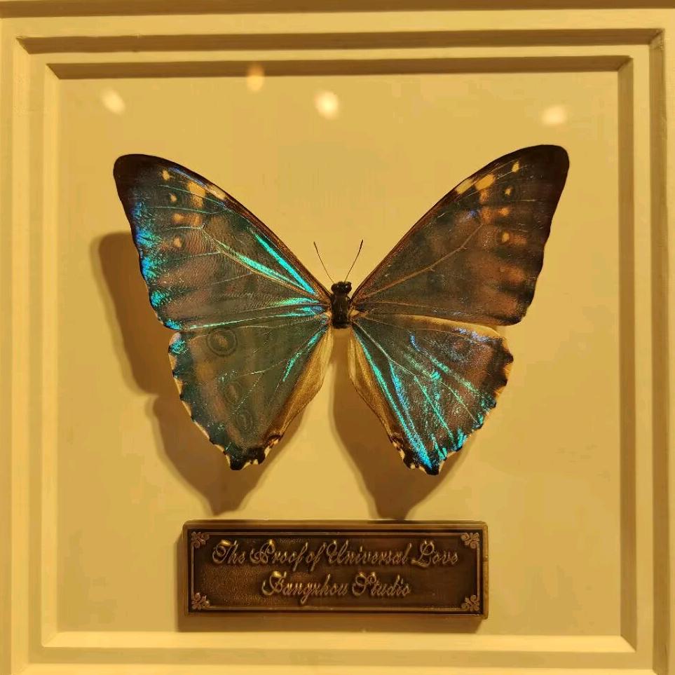 蝶🦋骨