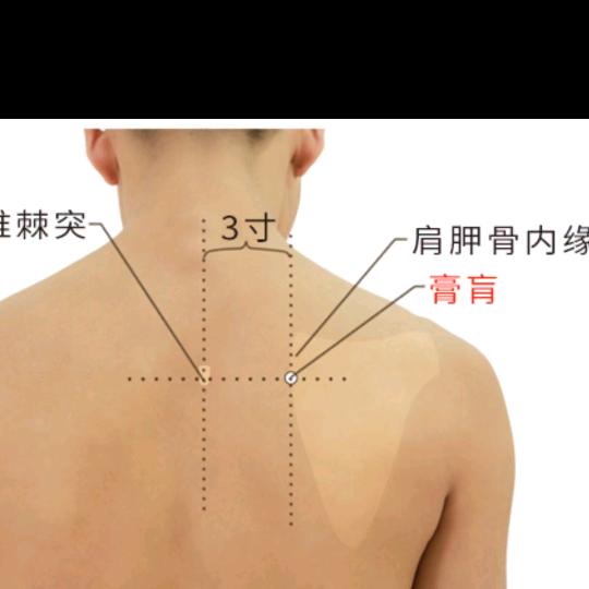 牛牛在努力