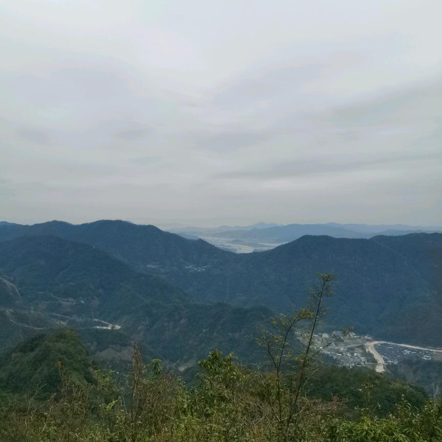 小鱼儿与花