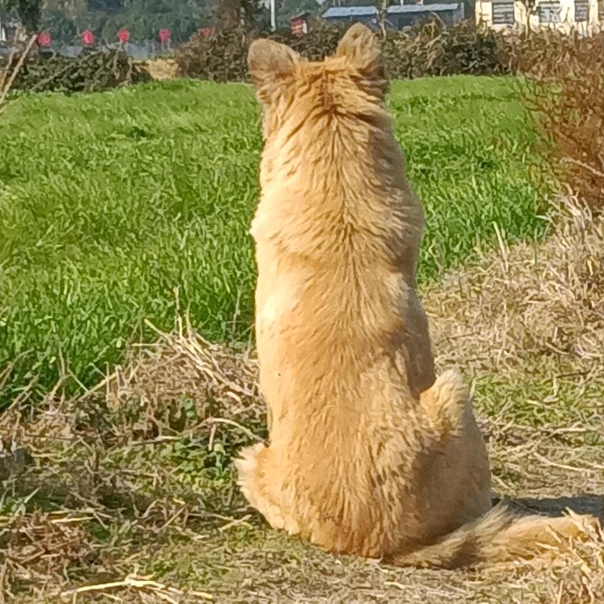 面对现实