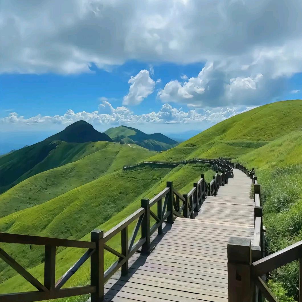李李。