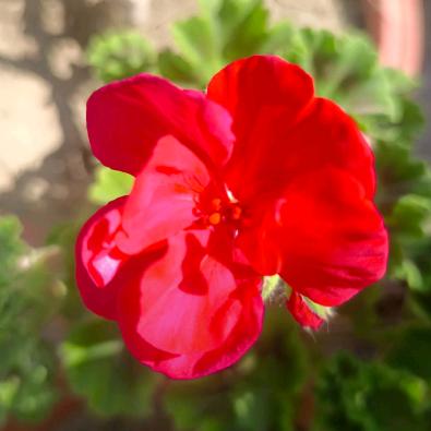 快乐每一天❤️ྀི