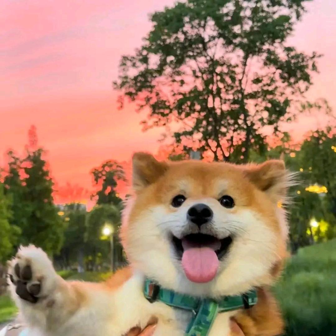 周周~