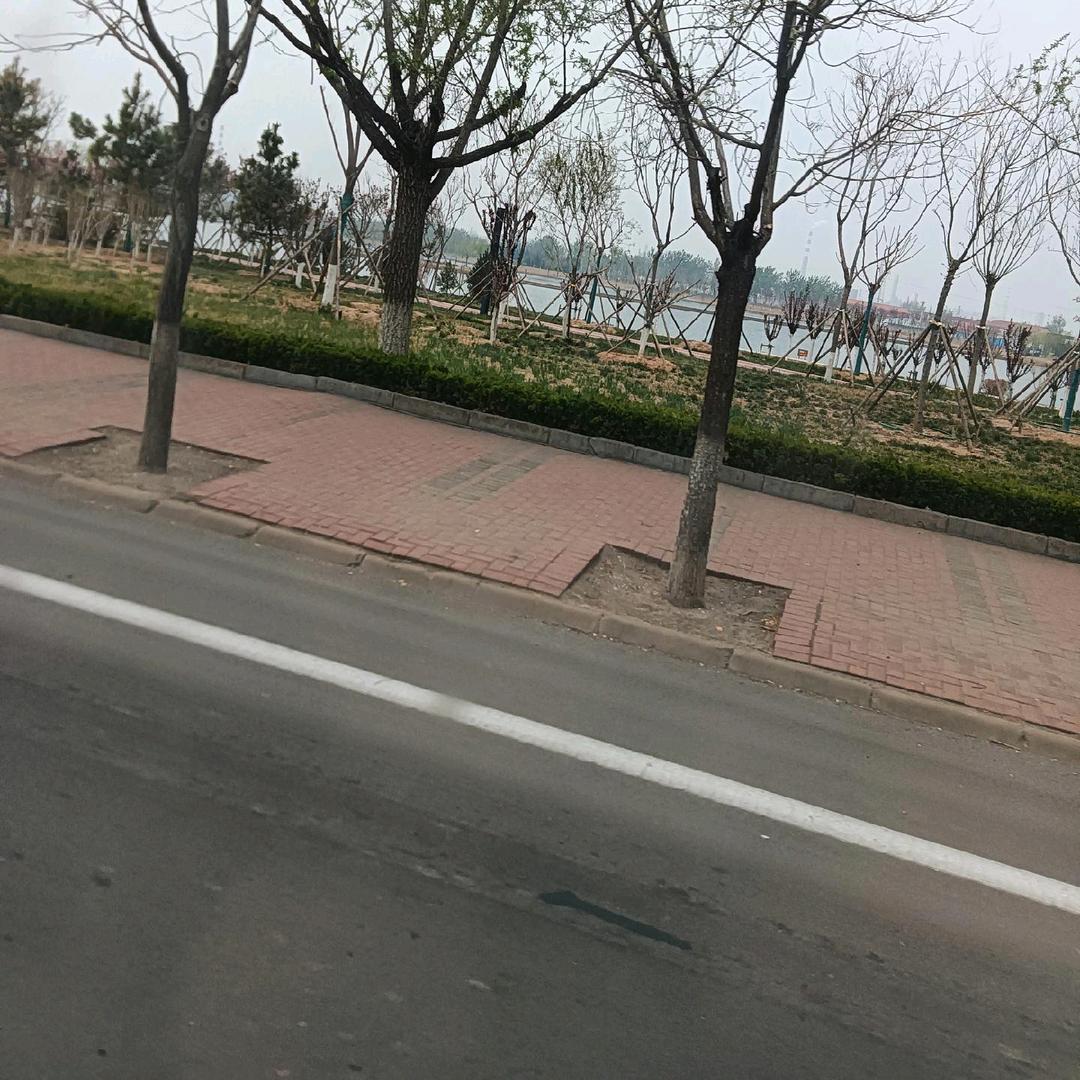 🐇兔🐇哥
