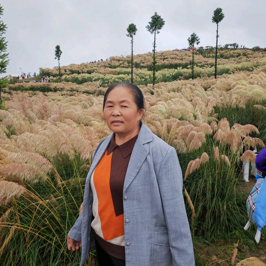 老来南