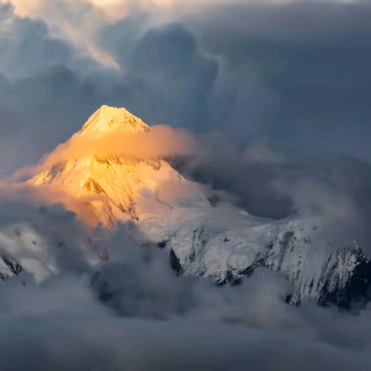 渣女专渣困难户