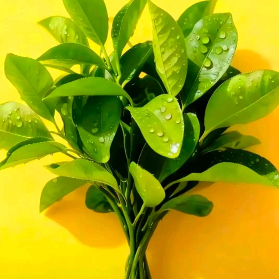 微笑，向前进！