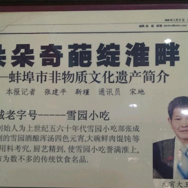 雪园混沌，汤圆