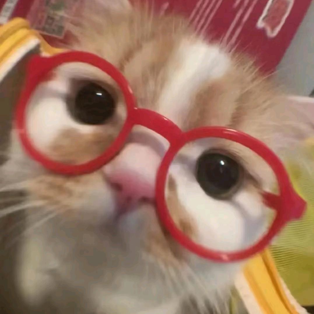 🎀.