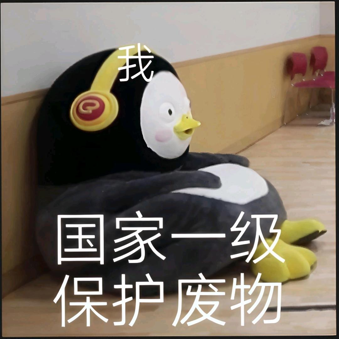 国家一级保护废物（外卖期）