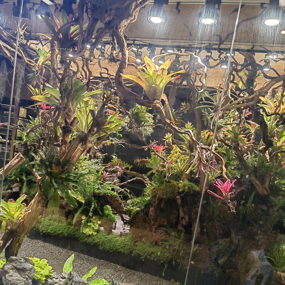 英蕊好物⁵⁸⁸