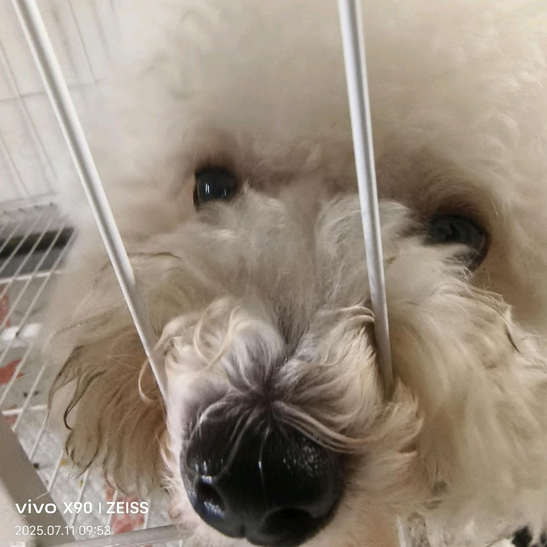 习惯有你