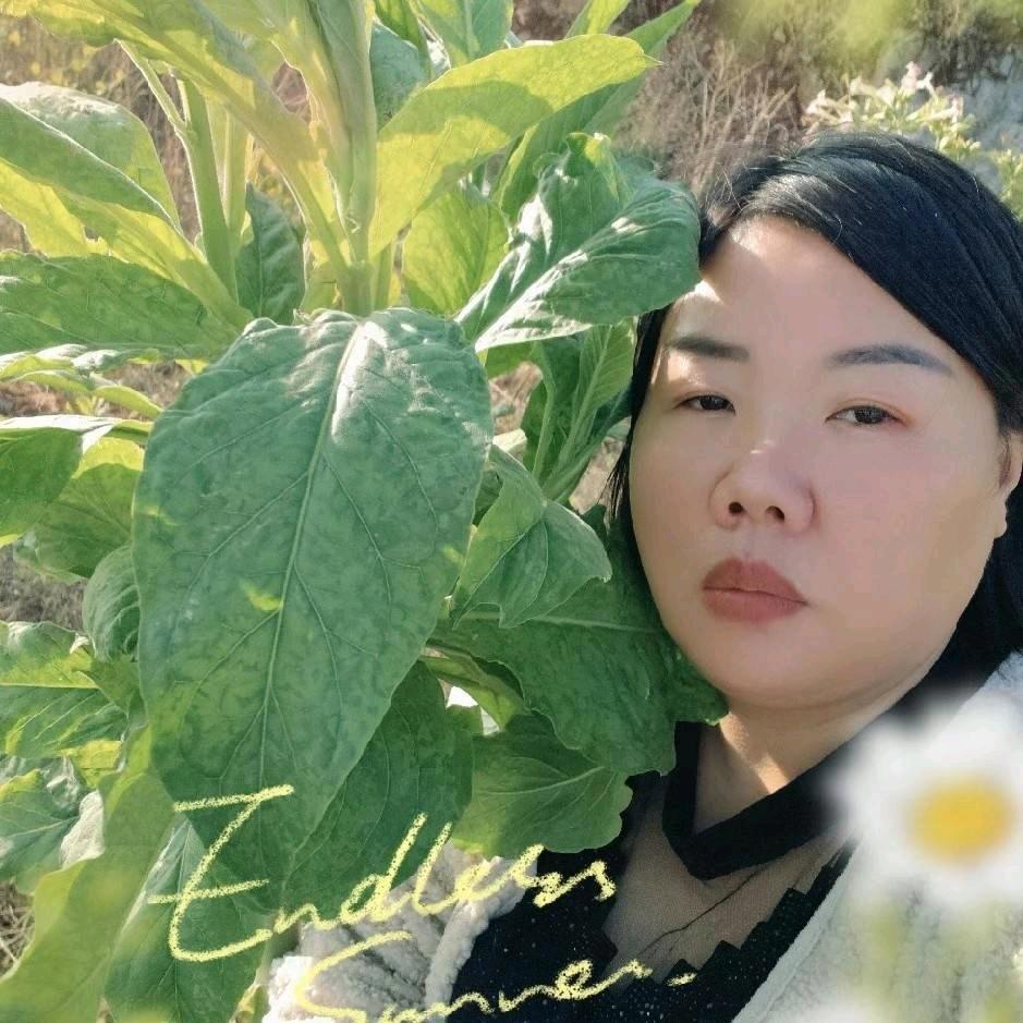 烤烟技术指导小赵