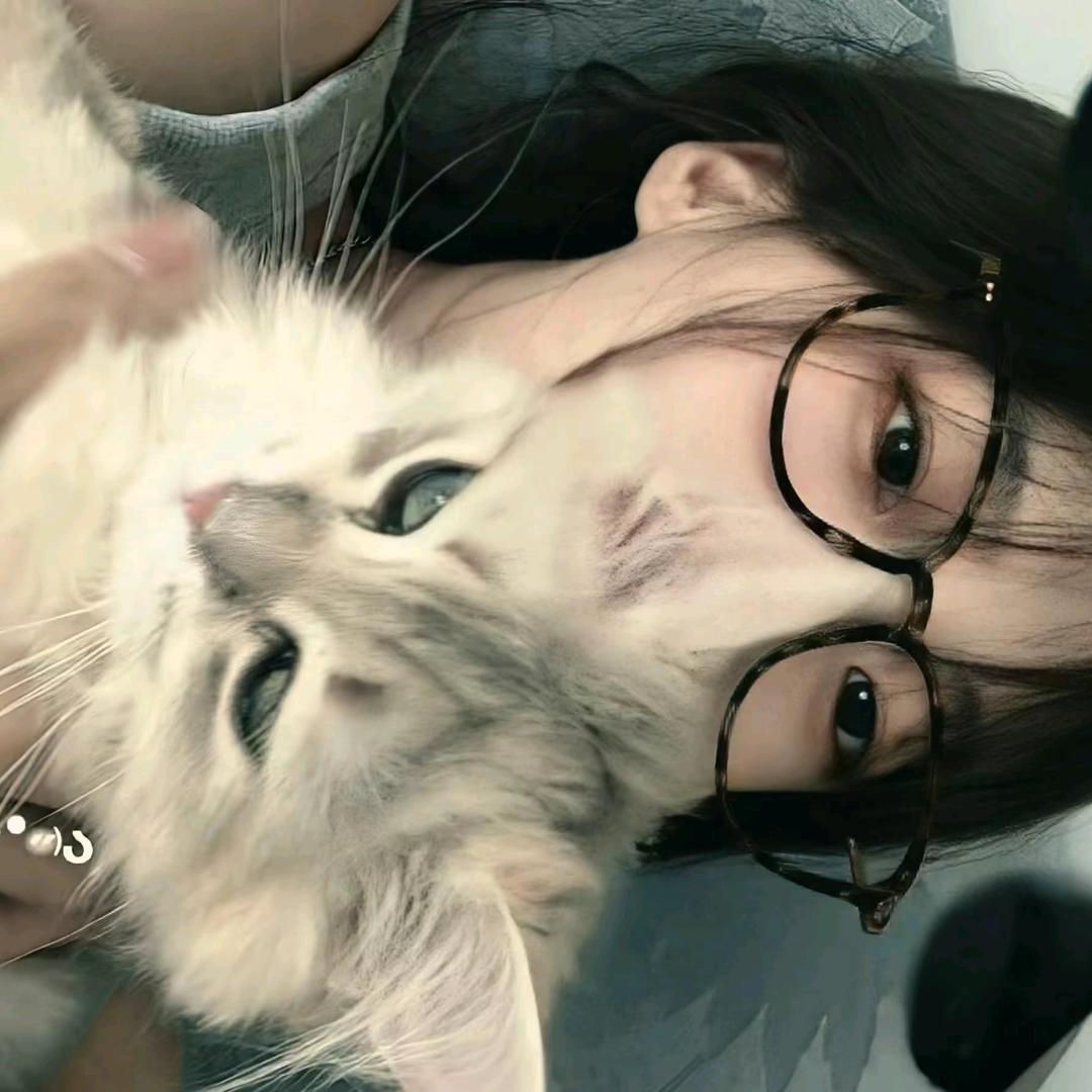 屿羽