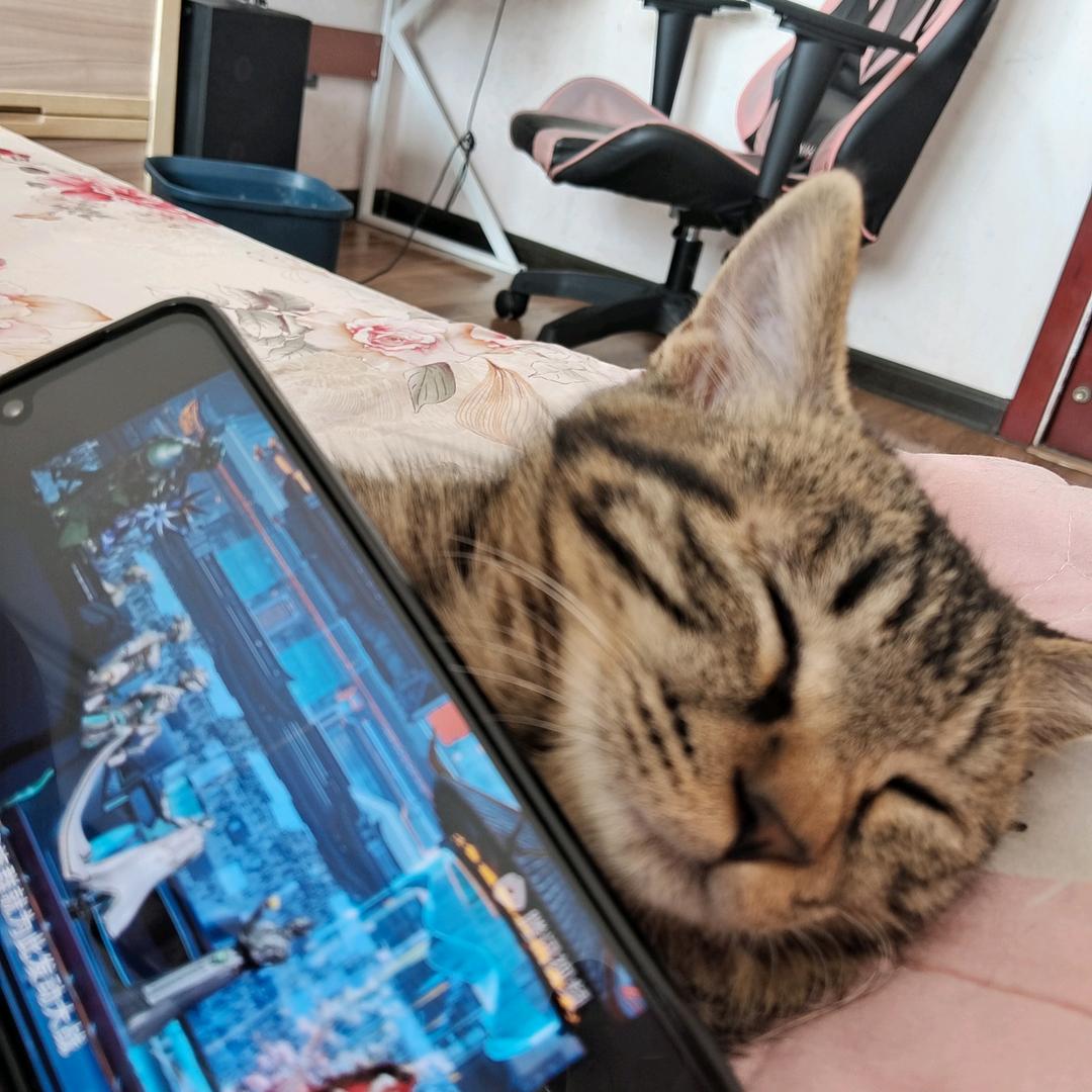 自己