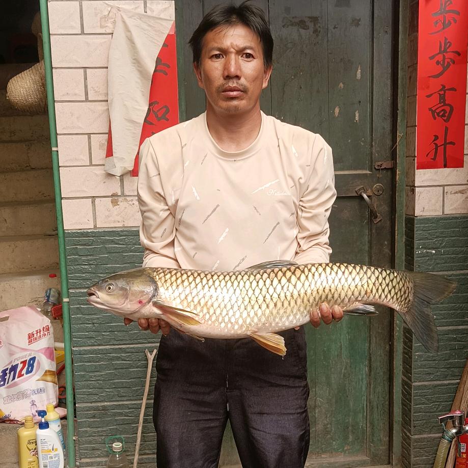 钓鱼空军小子🐠🐠🐠🐠