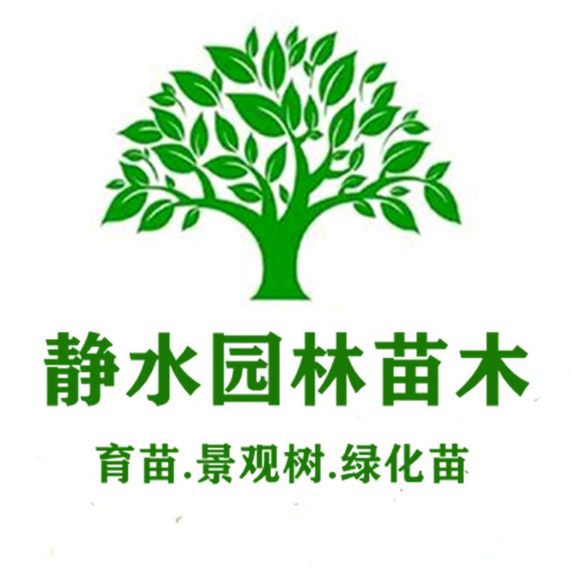 静水园林苗木销售中心
