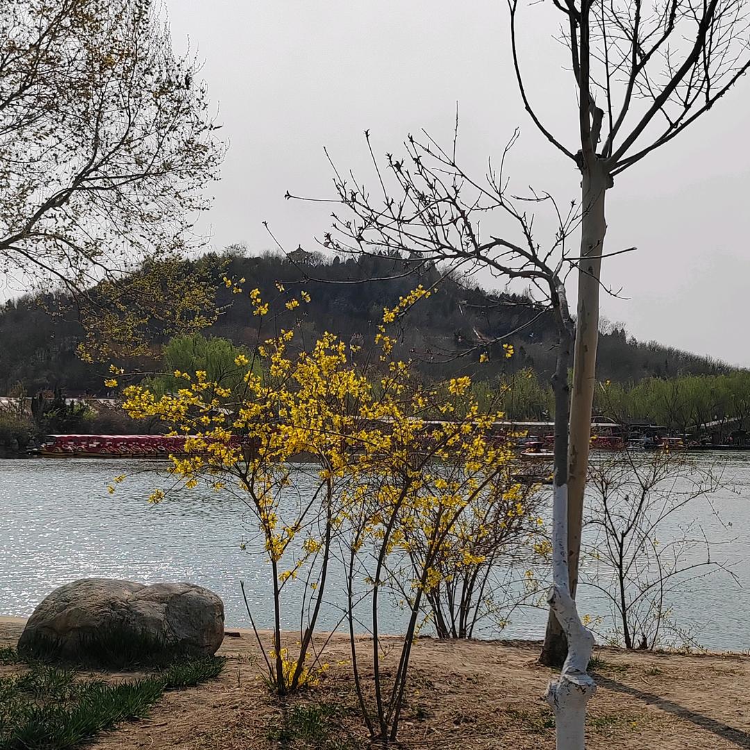 傲寒飞雪13405