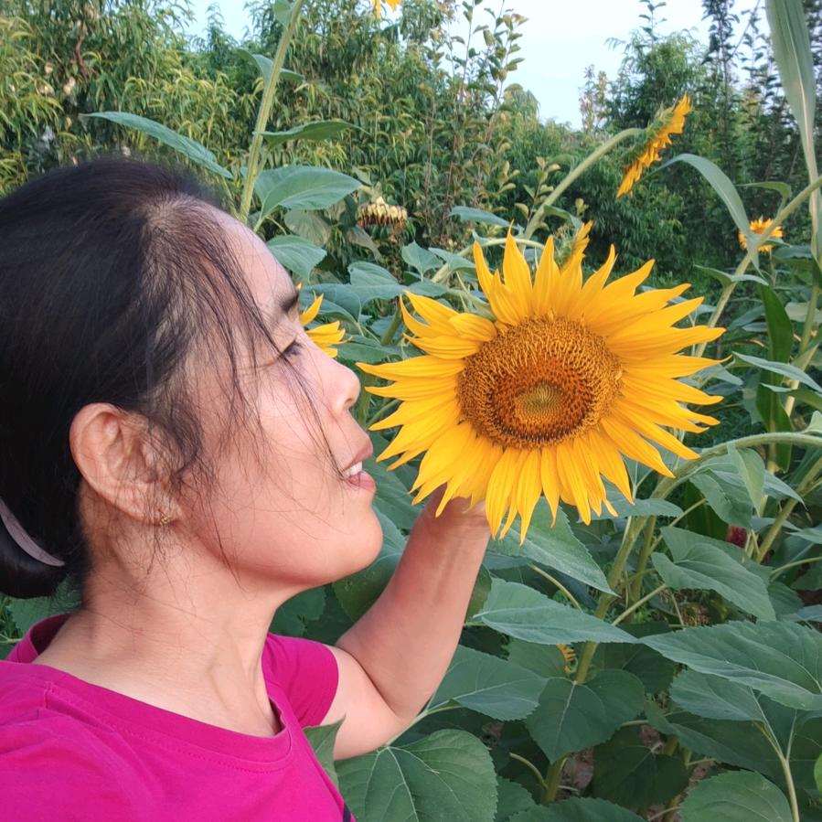 暖心❤️向阳🌻