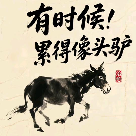逍遥哥哥