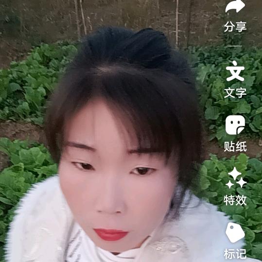 杜鹃机密梦上午7：30分或下午7：30