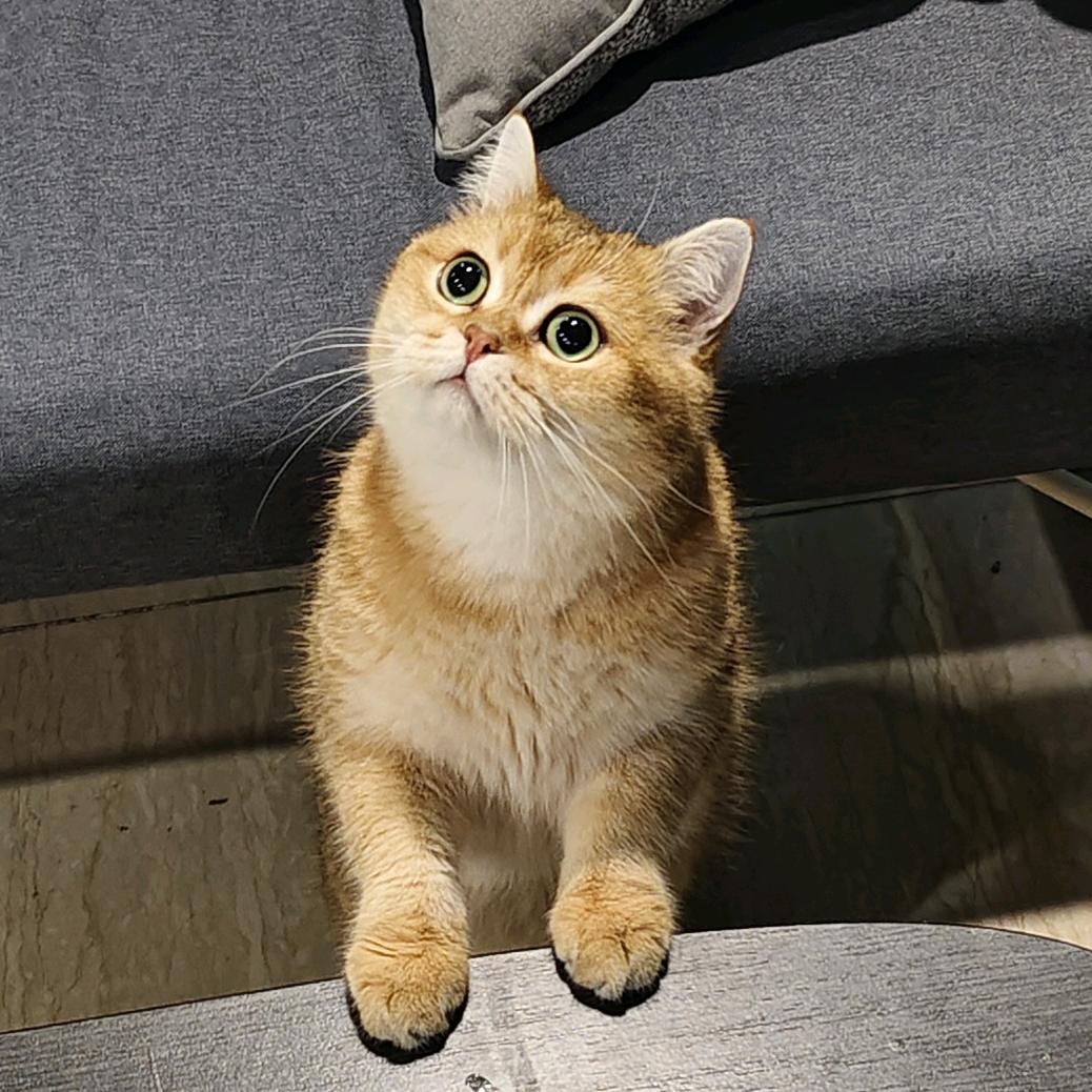 小小雨
