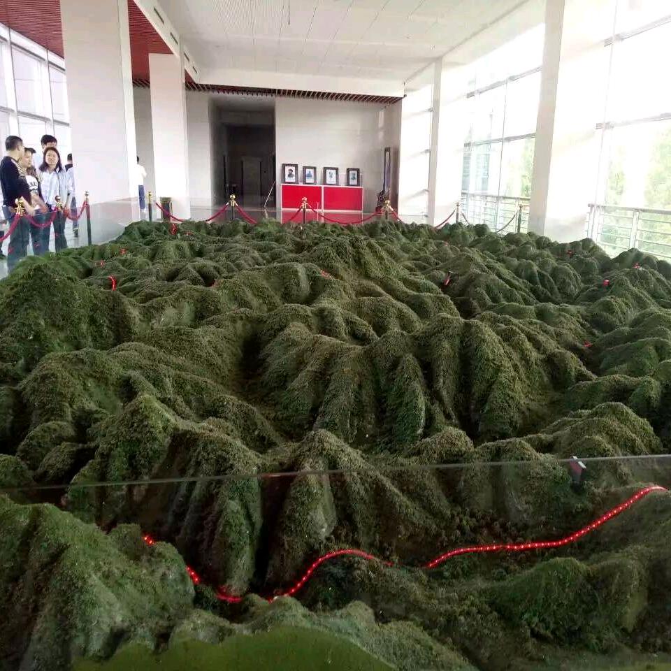 雄鹰
