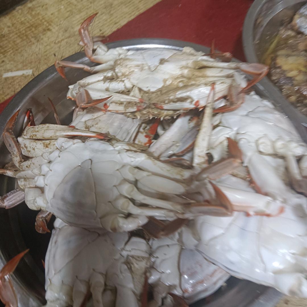 光看不刷
