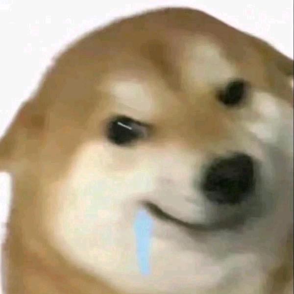奇奇怪怪的修狗