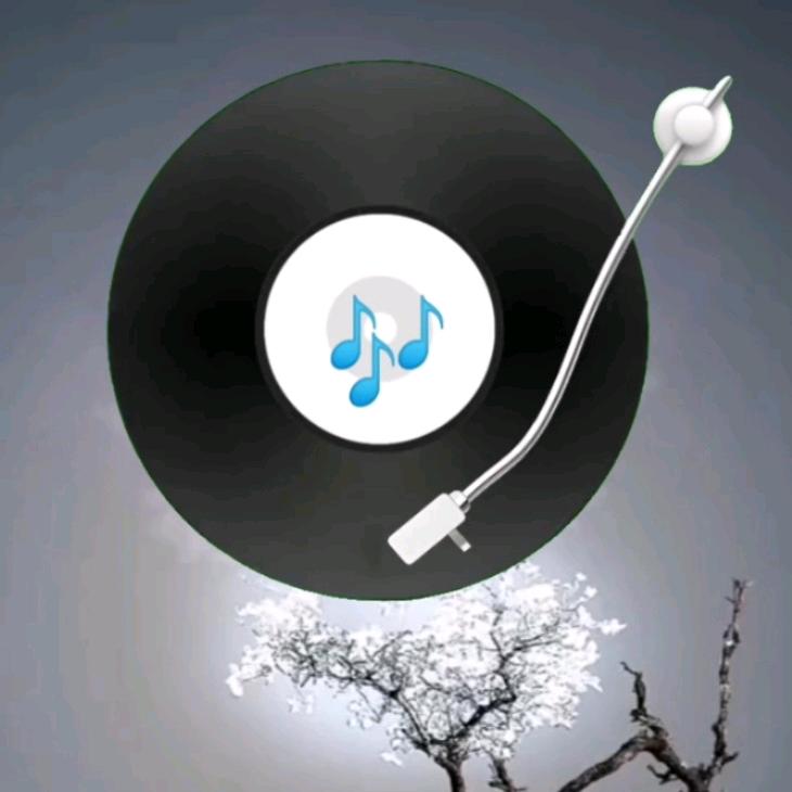 不能说•音乐