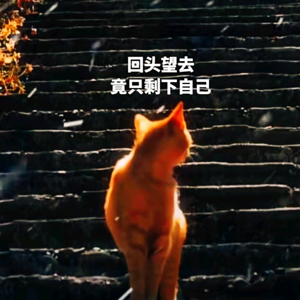 幻海行舟