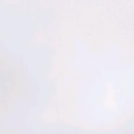 杨歌歌吖