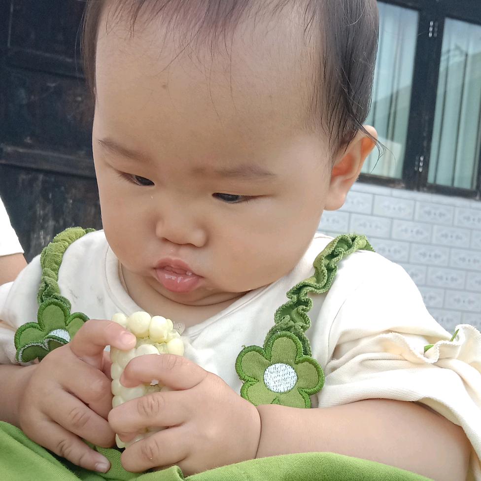 汐宝贝