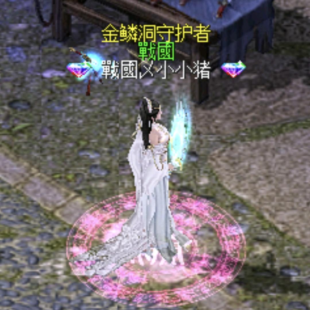 刀剑㐅小小猪