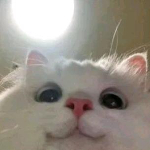 财运享通💰💰💰