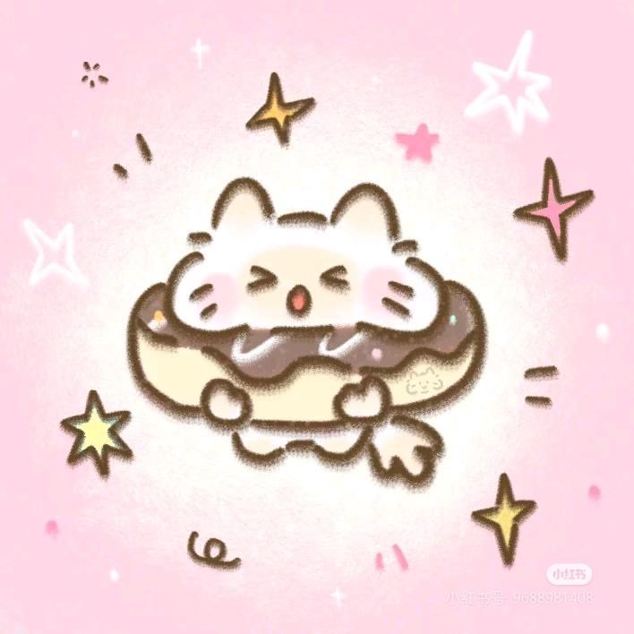 飞天小星猫