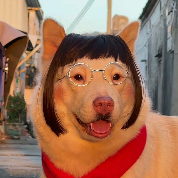 红尘