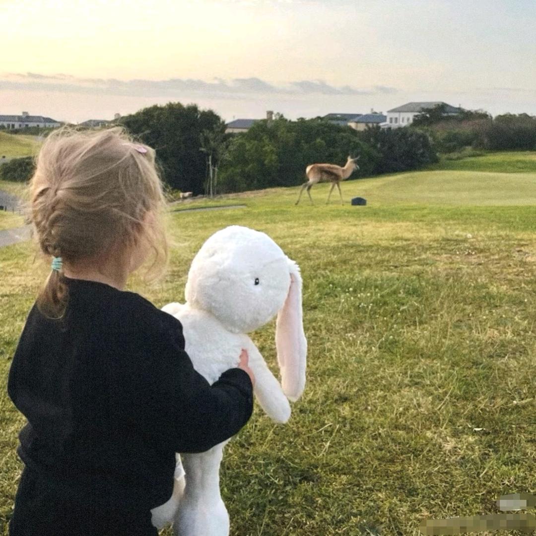 微微子.