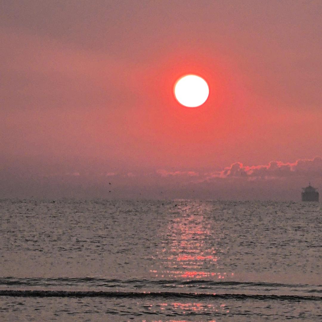 多芙（三角洲行动）