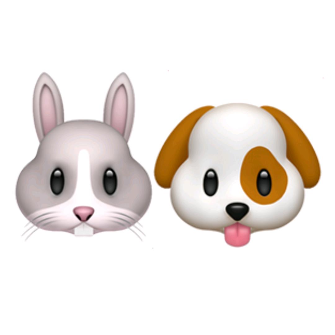 坚毅军犬