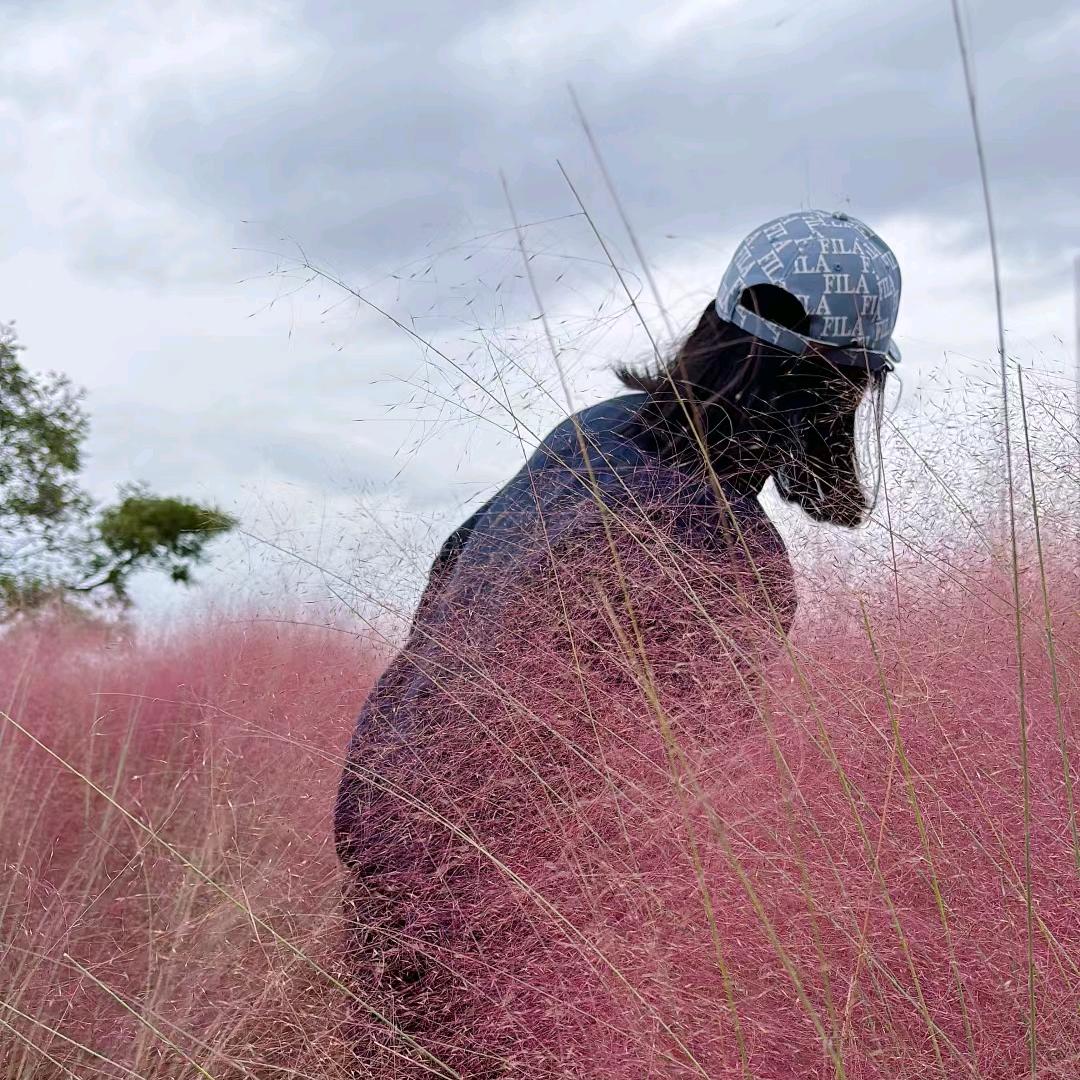 泛想优嘉(西安芳姐)