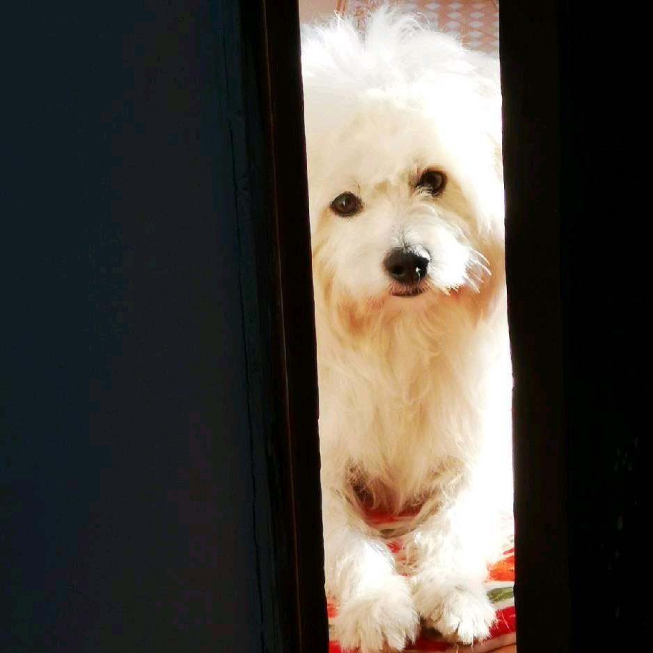 懒懒的游戏时光～