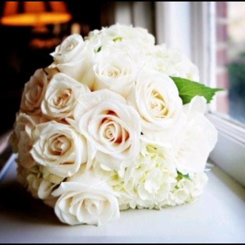 ❤婷❤